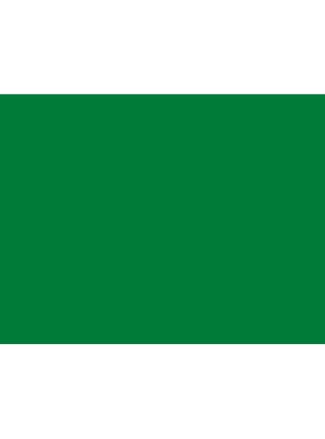 1 mantel color verde - Colores lisos - Funiglobal | Funidelia