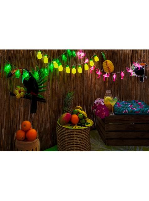 Bandeja de tucanes - Toucan Party - Boland | Funidelia