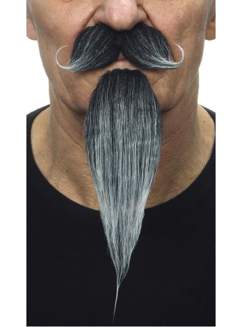 Bigote con perilla mosquetero canosa para hombre - My Other Me | Funidelia