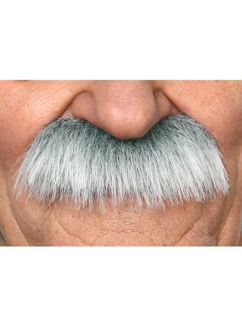 Bigote de científico Einstein para adulto - My Other Me | Funidelia