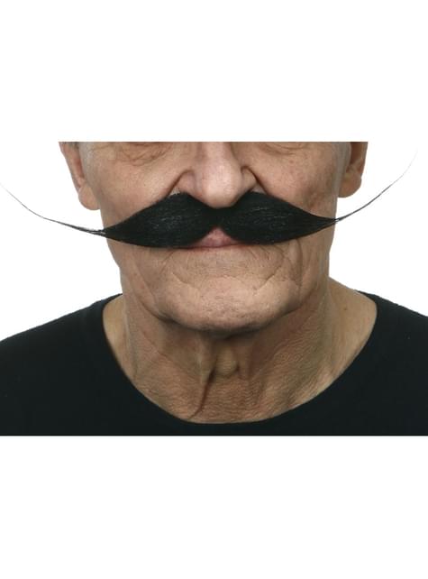Bigote de loco pintor para hombre - My Other Me | Funidelia