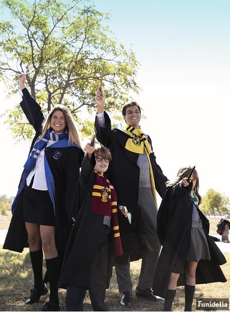 Bufanda Ravenclaw Harry Potter - Funiglobal | Funidelia