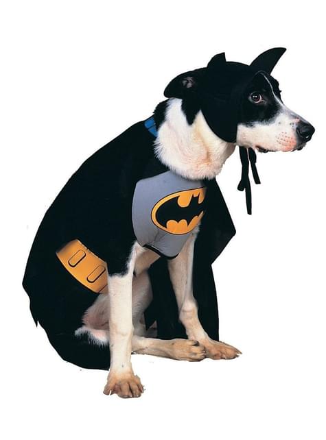 Disfraz de Batman para perro - Rubies USA | Funidelia