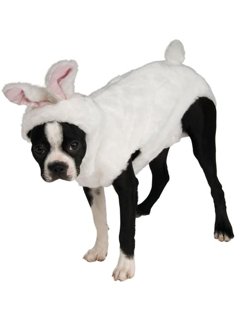 Disfraz de conejo para perro - Rubies USA | Funidelia