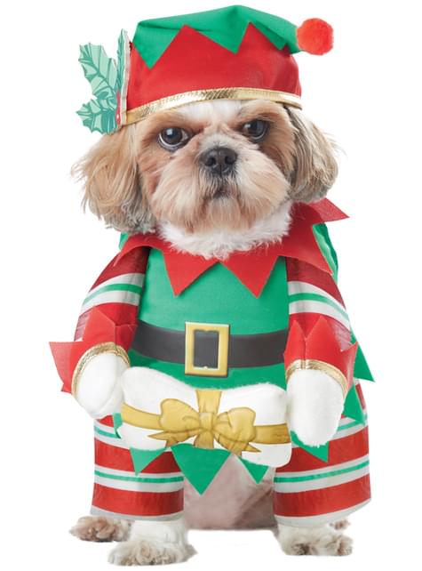 Disfraz de elfo navideño travieso para perro - California Costumes | Funidelia
