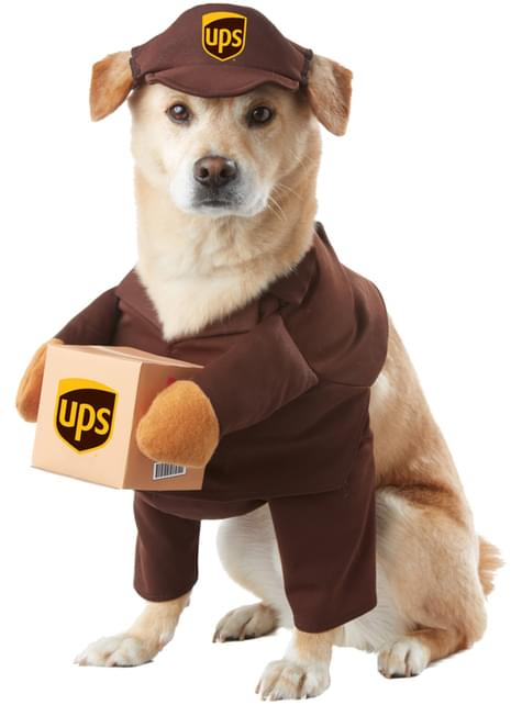 Disfraz de repartidor de UPS para perro