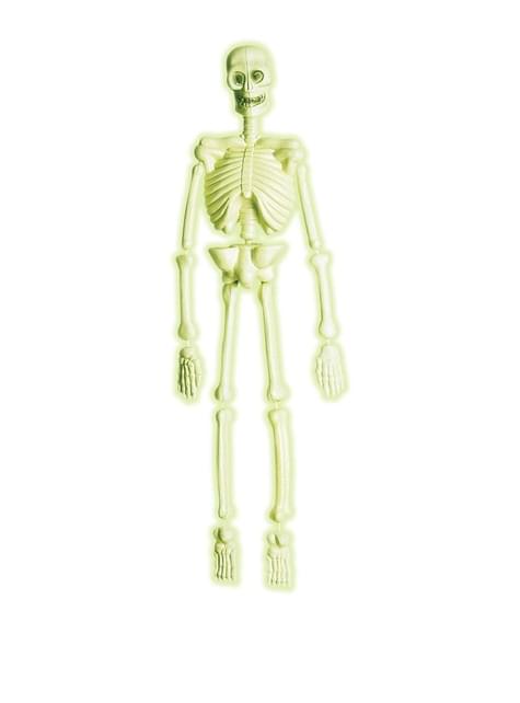 Esqueleto de laboratorio 3D fosforescente - Widmann | Funidelia