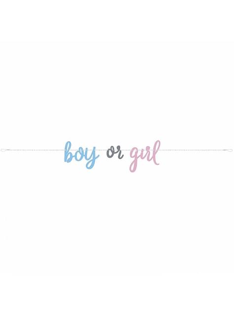 Guirnalda “Boy or Girl“ Gender Reveal - Blue or Pink - Unique | Funidelia