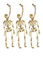 3 esqueletos colgantes (15 cm). - Widmann | Funidelia