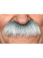 Bigote de científico Einstein para adulto - My Other Me | Funidelia