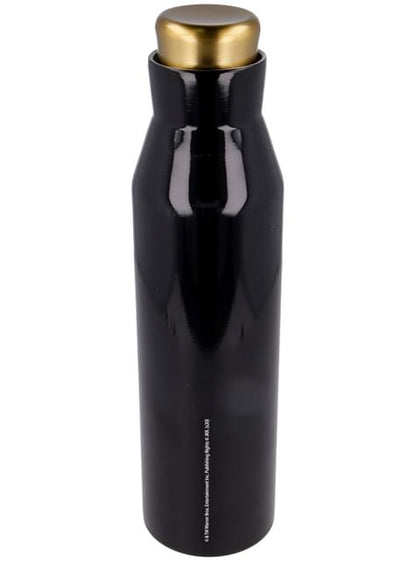 Botella Termo snitch 580ml - Harry Potter - STOR S.L. | Funidelia