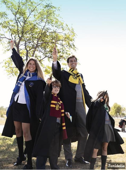 Bufanda Ravenclaw Harry Potter - Funiglobal | Funidelia