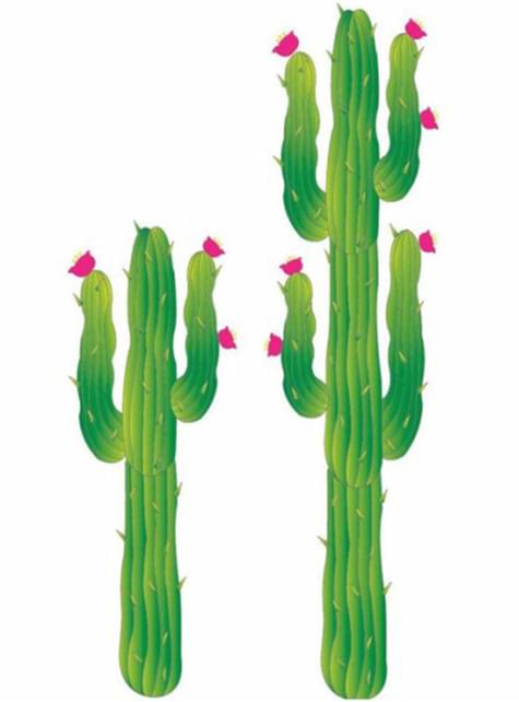 Cactus decorativo