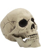Calavera decorativa Halloween - Funiglobal | Funidelia