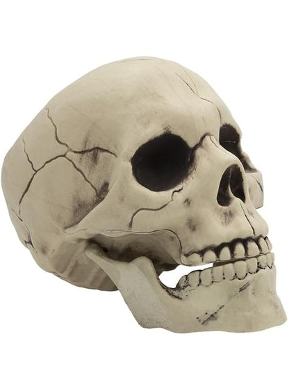 Calavera decorativa Halloween - Funiglobal | Funidelia