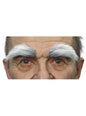 Cejas canosas - My Other Me | Funidelia