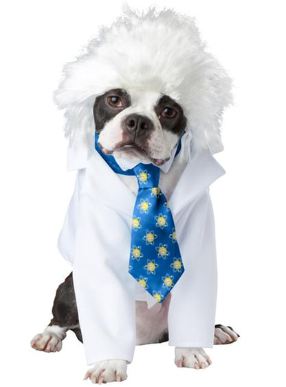Disfraz de Einstein para perro