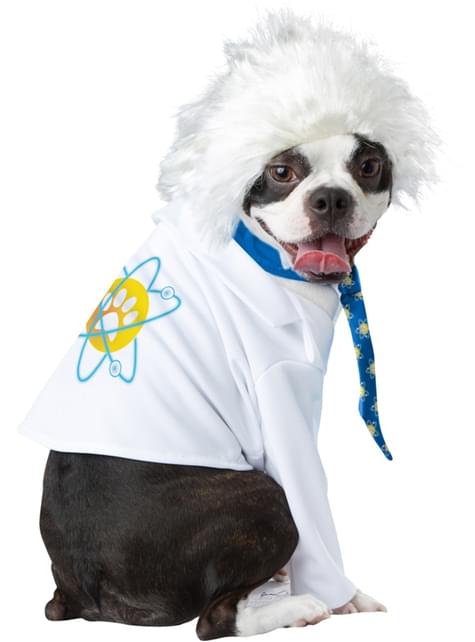Disfraz de Einstein para perro