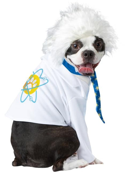 Disfraz de Einstein para perro