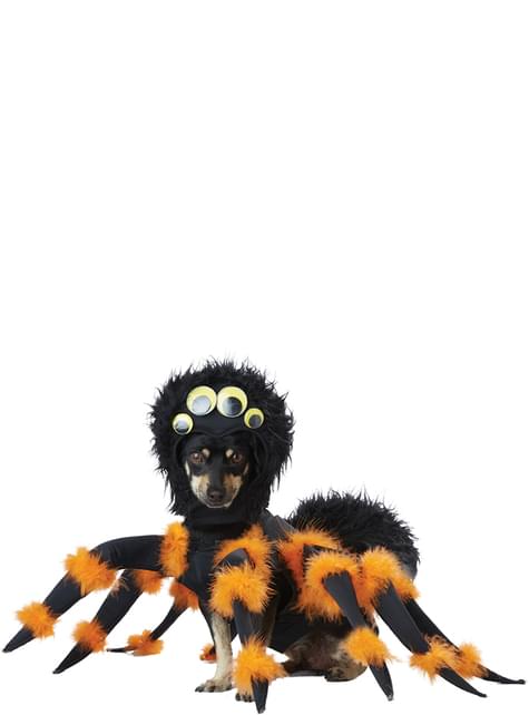 Disfraz de araña aterradora para perro - California Costumes | Funidelia