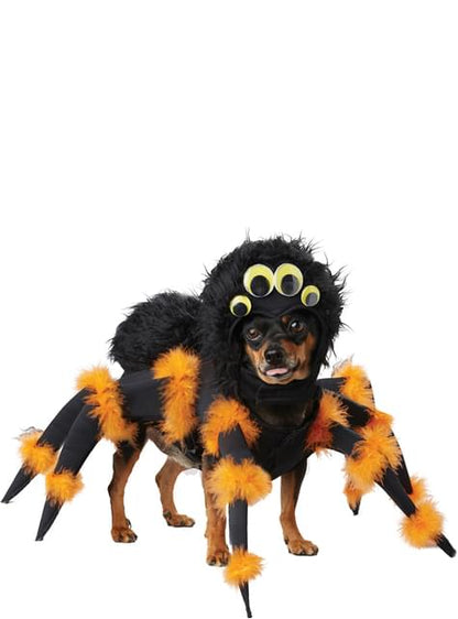Disfraz de araña aterradora para perro - California Costumes | Funidelia