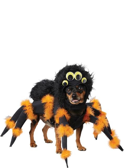 Disfraz de araña aterradora para perro - California Costumes | Funidelia