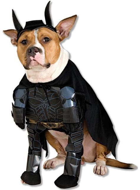 Disfraz de Batman TDK para perro - Rubies USA | Funidelia