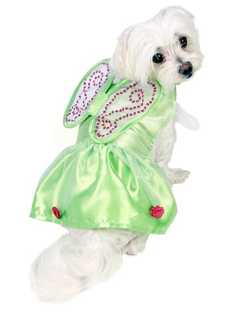 Disfraz de Campanilla para perro