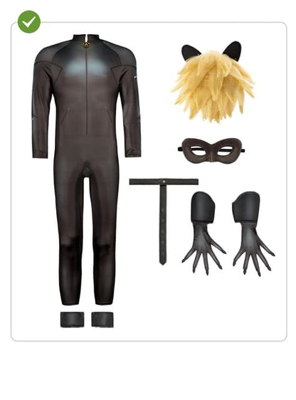Disfraz de Cat Noir para hombre - Ladybug