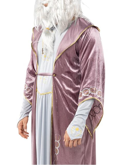 Disfraz de Dumbledore Harry Potter - Funiglobal | Funidelia