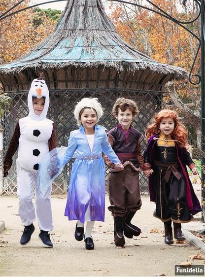 Disfraz de Elsa Frozen 2 deluxe para niña - Rubies UK | Funidelia