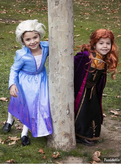 Disfraz de Elsa Frozen 2 deluxe para niña - Rubies UK | Funidelia