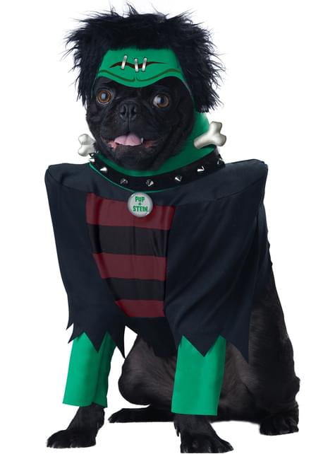 Disfraz de Frankenstein para perro