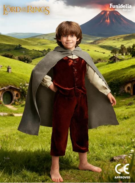 Disfraz de Frodo para niño - El Señor de los Anillos - Funiglobal | Funidelia