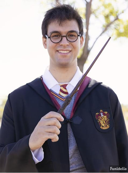 Disfraz de Harry Potter para adulto - Funiglobal | Funidelia