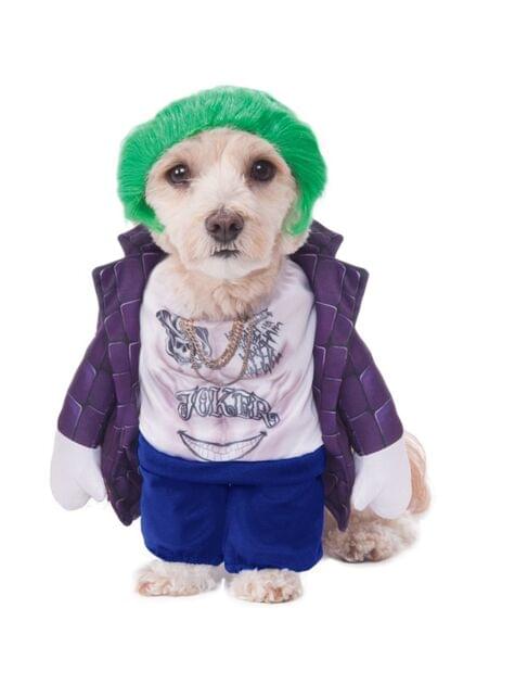 Disfraz de Joker para perro