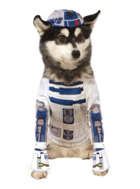 Disfraz de R2D2 para perro - Rubies USA | Funidelia