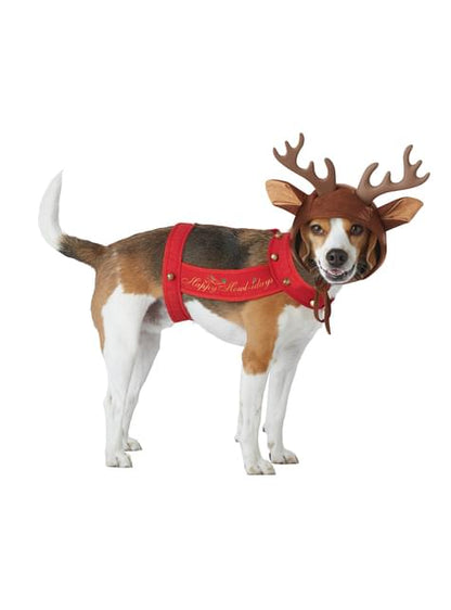 Disfraz de Reno para perro - California Costumes | Funidelia