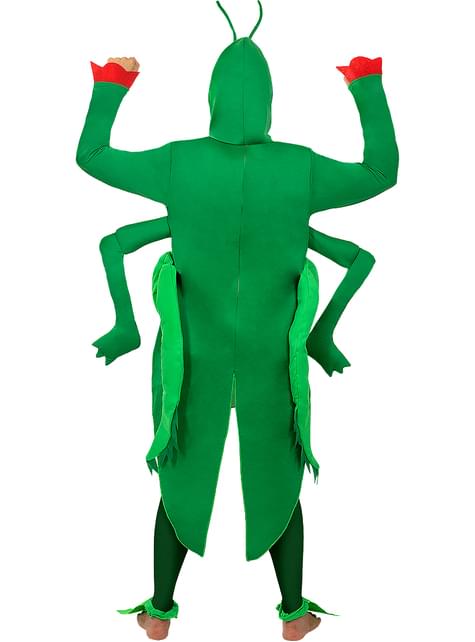 Disfraz de saltamontes para adulto - Funiglobal | Funidelia