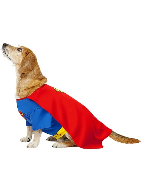 Disfraz de Superman para perro - Funiglobal | Funidelia