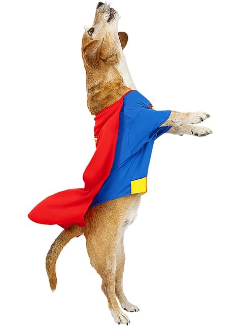 Disfraz de Superman para perro - Funiglobal | Funidelia