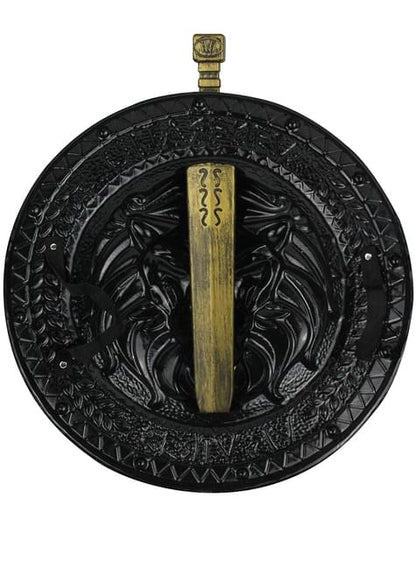 Espada y escudo romano para adulto - Funiglobal | Funidelia