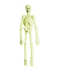 Esqueleto de laboratorio 3D fosforescente - Widmann | Funidelia