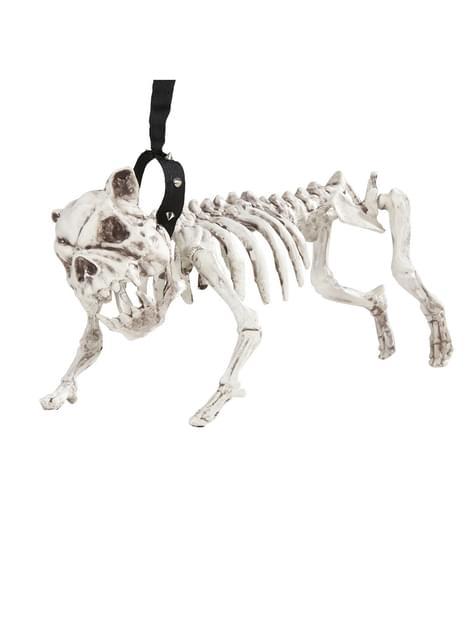 Esqueleto de perro con correa