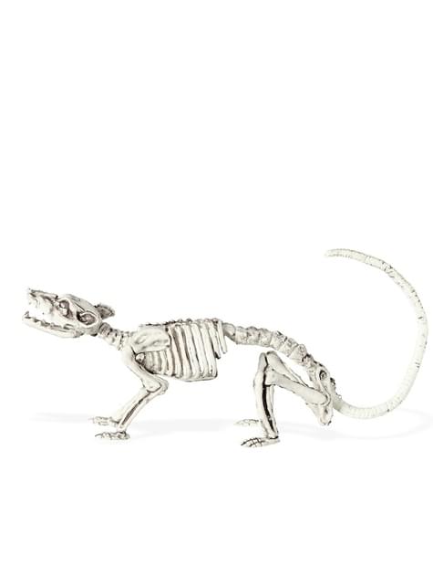 Esqueleto de ratón