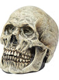 Figura de calavera decorativa - Ghoulish | Funidelia