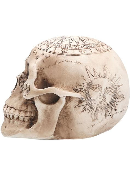 Figura de esqueleto astronomía - Boland | Funidelia