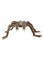 Figura decorativa de araña espeluznante