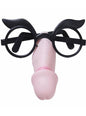 Gafas con nariz de pene - Widmann | Funidelia