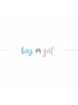 Guirnalda “Boy or Girl“ Gender Reveal - Blue or Pink - Unique | Funidelia